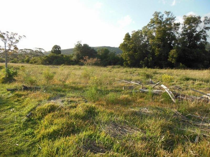 0 Bedroom Property for Sale in Wittedrift AH Western Cape